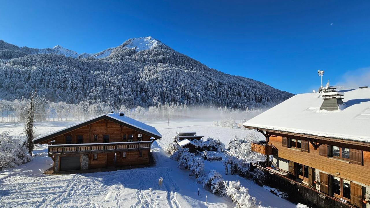 Demi-Chalet Vadel La Panthiaz 15 Pers 5 Chambres Abondance Exteriér fotografie