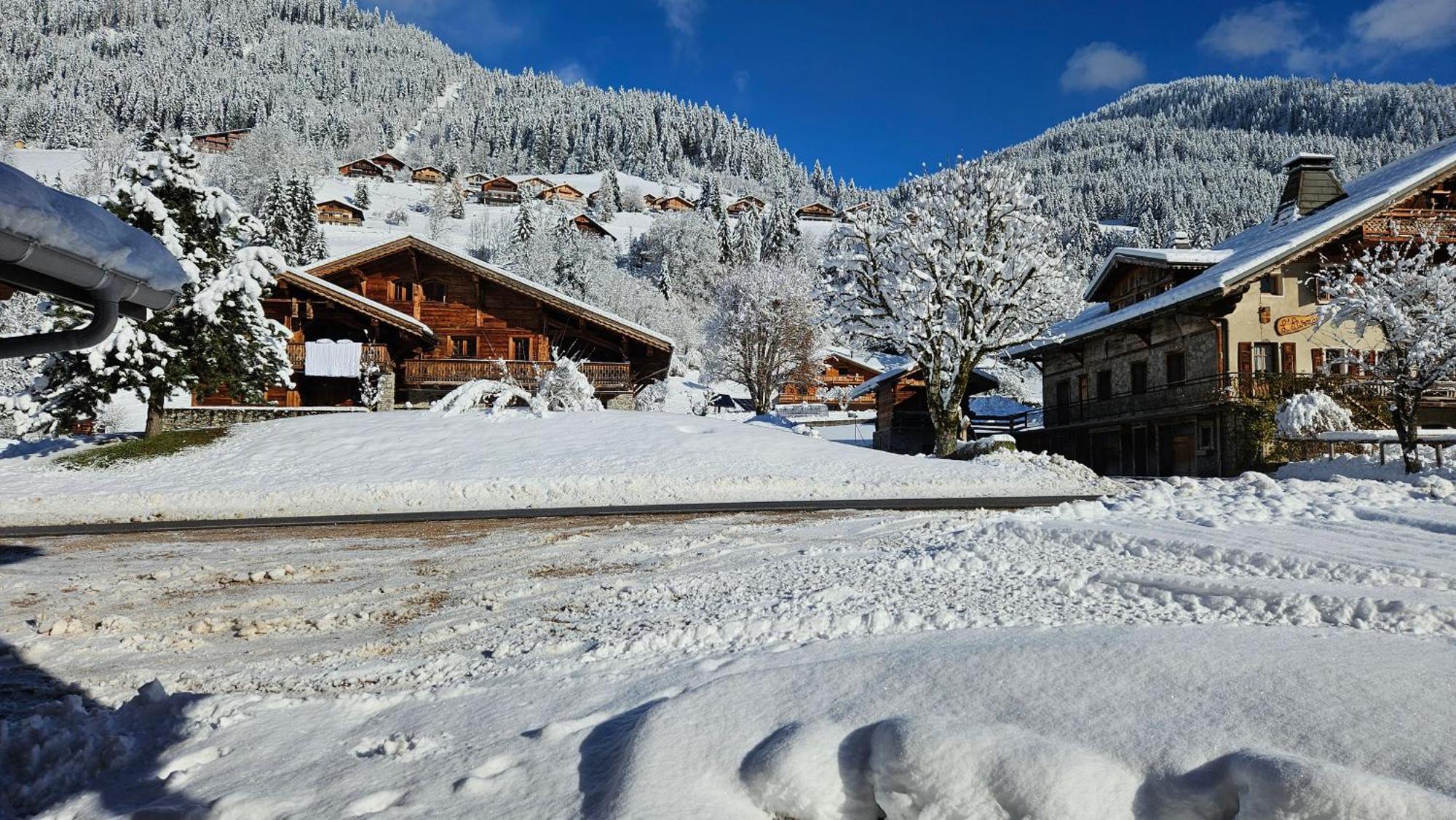 Demi-Chalet Vadel La Panthiaz 15 Pers 5 Chambres Abondance Exteriér fotografie